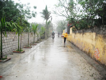 N&ocirc; nức l&agrave;m đường giao th&ocirc;ng n&ocirc;ng th&ocirc;n